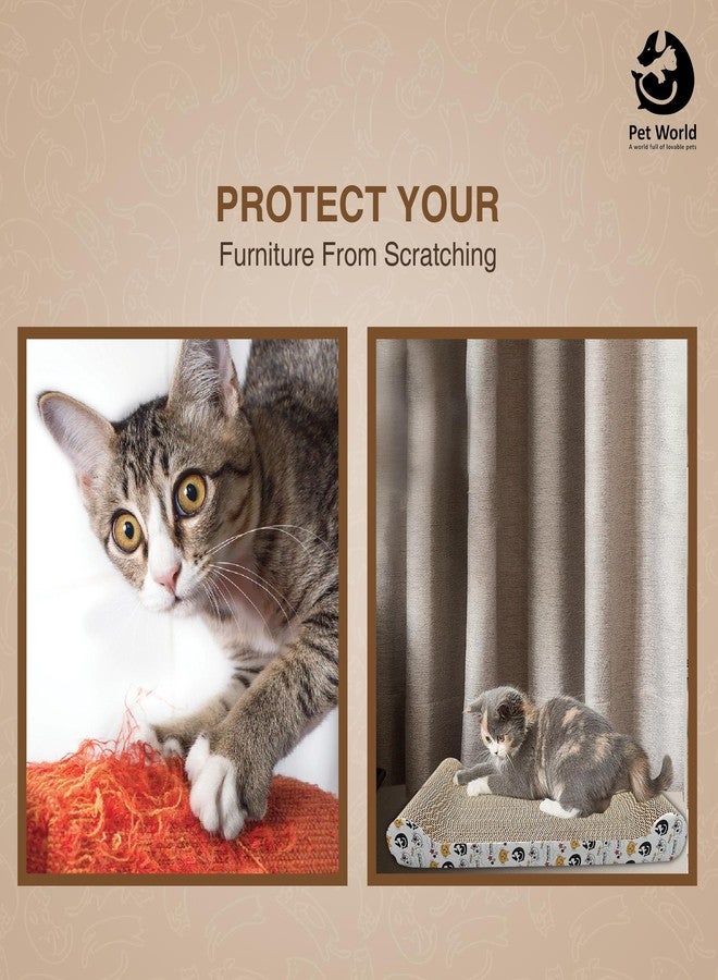 PET WORLD Wide Shallow Cat Scratcher (Large) | Extra-Wide Flat Cardboard Scratch Pad for Cats | Horizontal Lounger | Durable & Eco-Friendly - Image 3